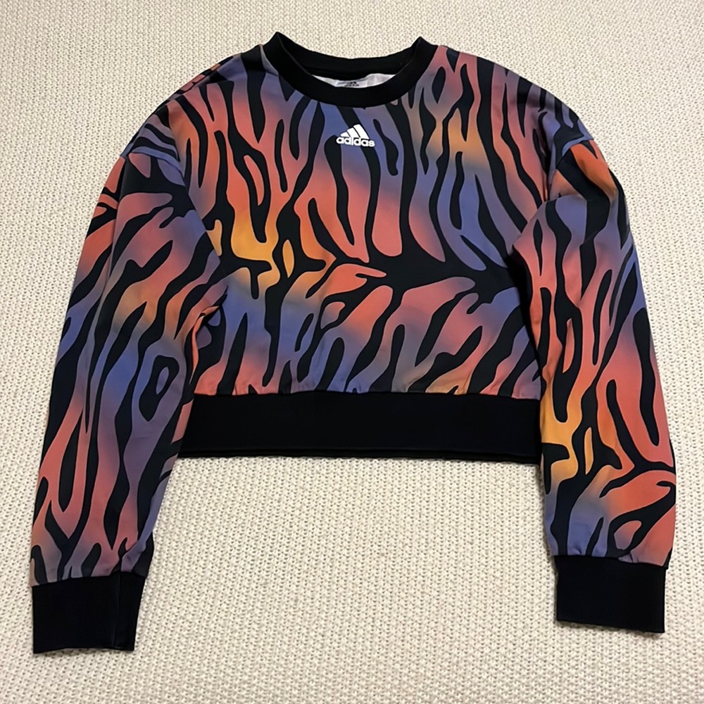 COPY - Rainbow Zebra Print Crop Sweater